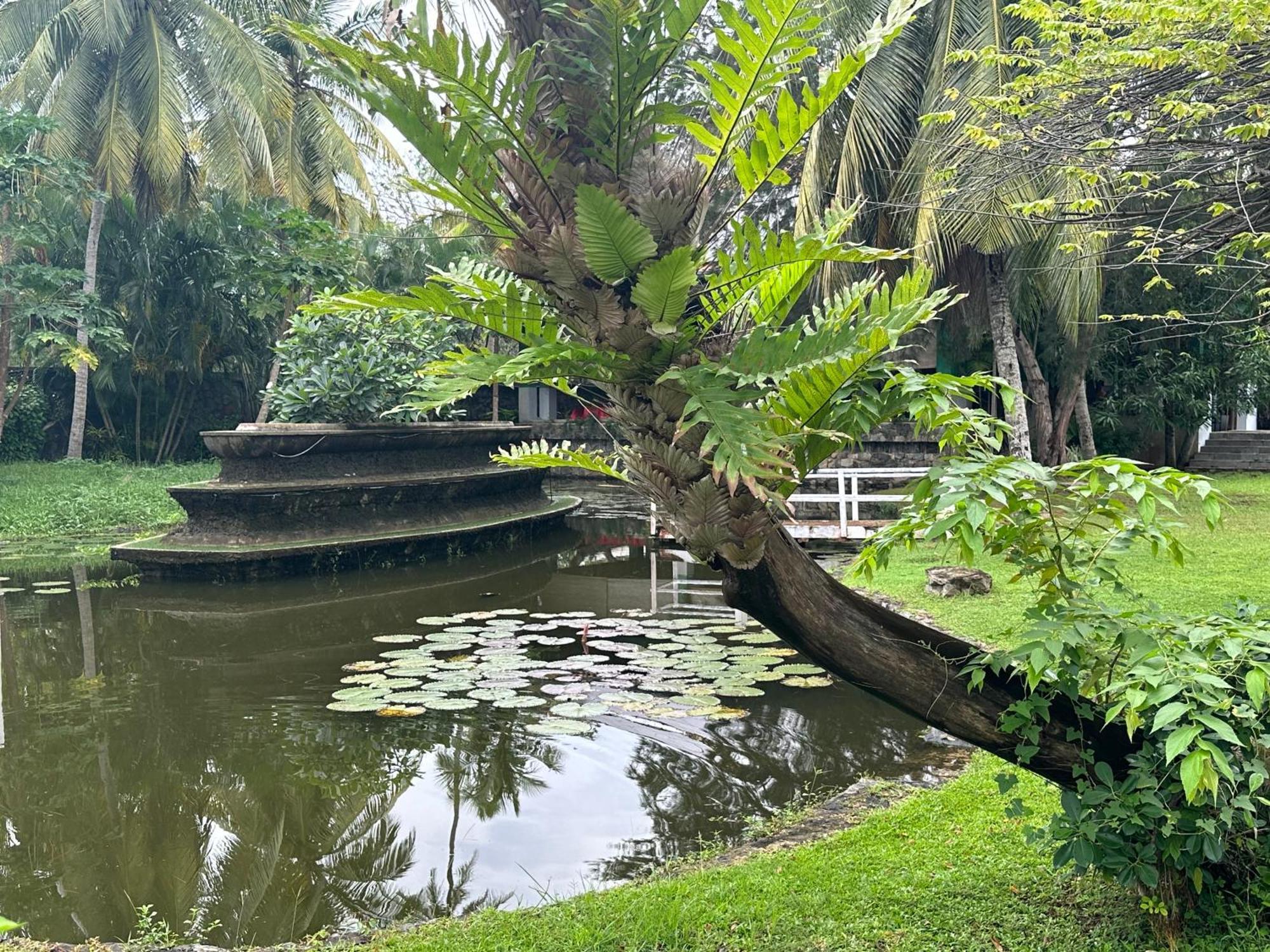 Amaluna Resorts Negombo Bagian luar foto