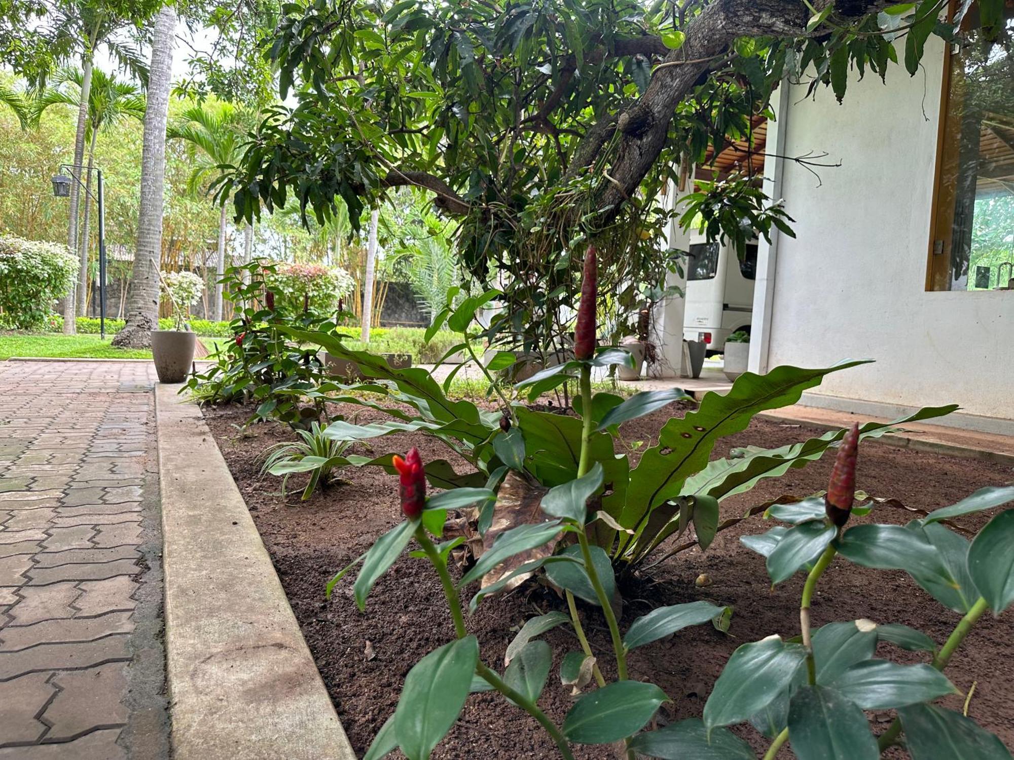 Amaluna Resorts Negombo Bagian luar foto